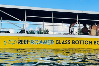 2 Stop Reef Snorkel and Glass Bottom Boat Adventure