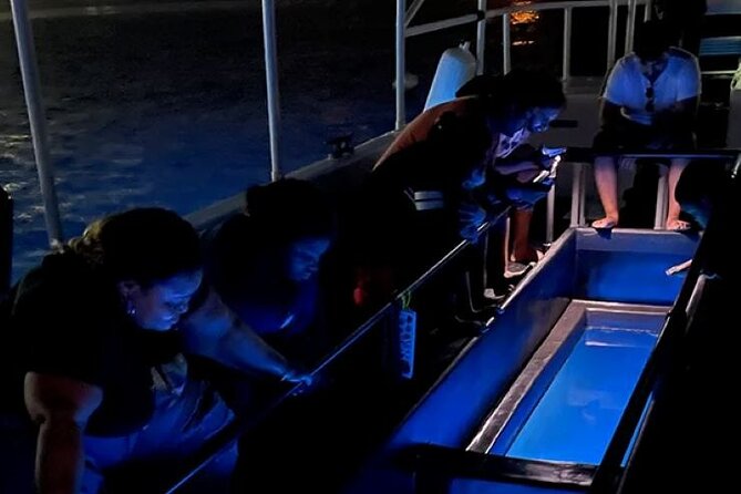 2 Stop Reef Snorkel and Glass Bottom Boat Adventure - Glass-bottom viewing for non-swimmers and families
