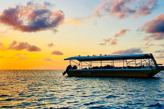 2 Stop Reef Snorkel and Glass Bottom Boat Adventure - Is $35 a good value?