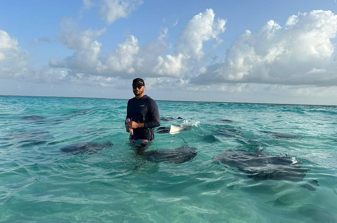 3 Hour Jet ski Adventure Swim with Rays and More - Why this Grand Cayman tour feels different