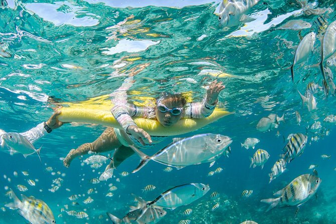3 Hour Private Charter on Stingray City with Snorkeling - What the $750 price really buys