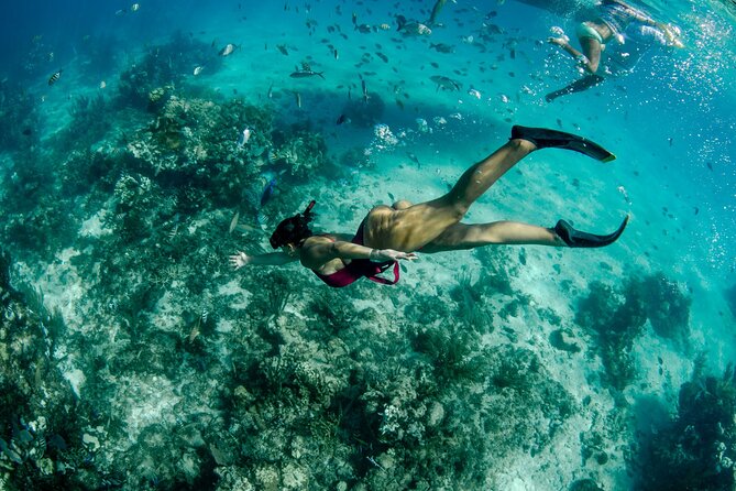 4 hour Private Boat charter to Stingray City, Snorkeling and More - Starfish Beach for a slower finish