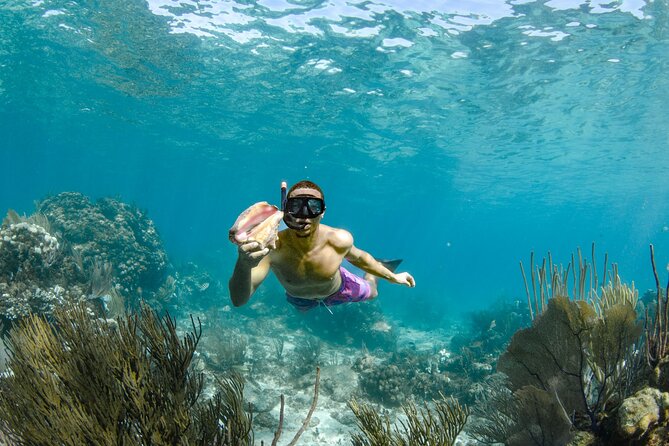 4 hour Private Boat charter to Stingray City, Snorkeling and More - What the crew adds to the day
