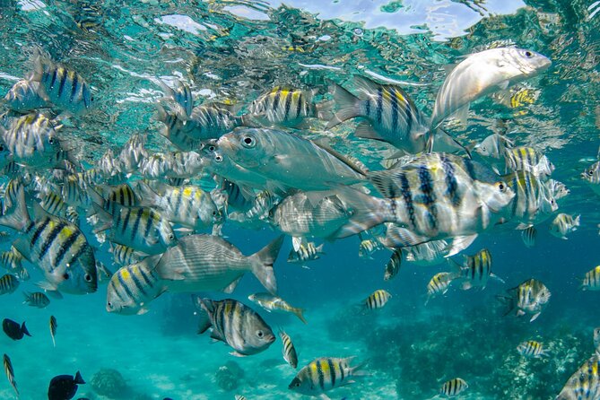 4 hour Private Boat charter to Stingray City, Snorkeling and More - Rain, sea conditions, and the flexible plan