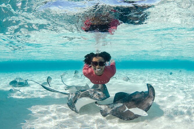 4 hour Private Boat charter to Stingray City, Snorkeling and More - Stingray City, the main event