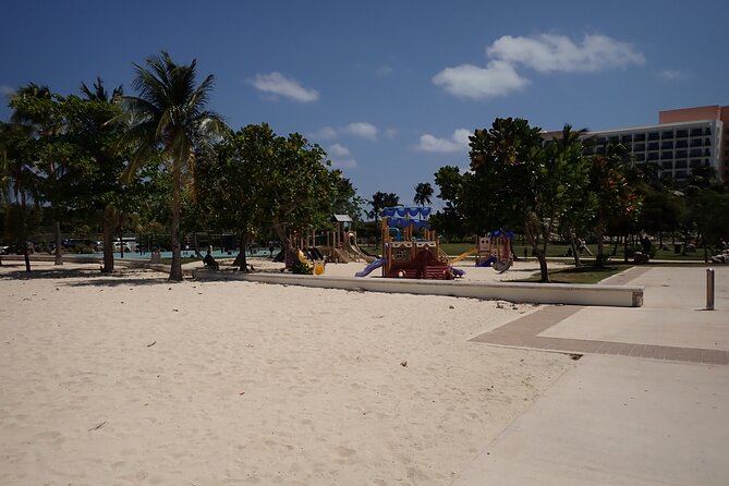 4-Stop Stingray, Snorkel, Star Fish & 7 Mile Beach (Family Owned) - Coral Gardens: an easy introduction to snorkeling