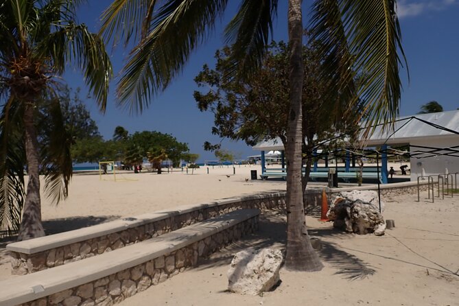4-Stop Stingray, Snorkel, Star Fish & 7 Mile Beach (Family Owned) - Who should book this excursion
