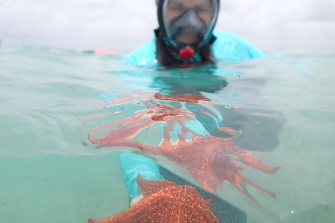 4-Stop Stingray, Snorkel, Star Fish & 7 Mile Beach (Family Owned) - The boat ride across the North Sound