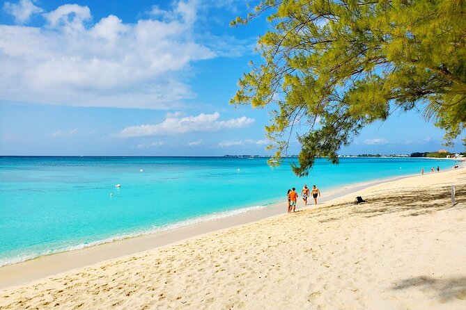 4 Stops Tour: Stingray, Snorkeling, Starfish & 7 Mile Beach - Stingray City: the tour’s main event