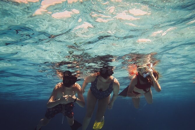 Acquarius Stingray City and Snorkel Tours - A relaxed way to reach three Grand Cayman highlights