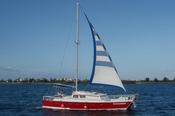 Acquarius Stingray City and Snorkel Tours - Timing tips for hotel and cruise passengers