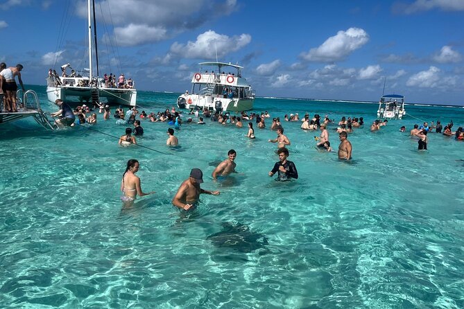 Aquaholic Charters: Private 1.5 - 4Hrs Cayman Luxury Adventure - Kaibo Beach Club or Rum Point Beach Club