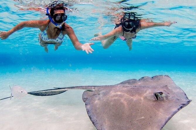 Cayman Adventure: Starfish Point, Stingray City and Coral Gardens - Three Cayman sea experiences in about three hours