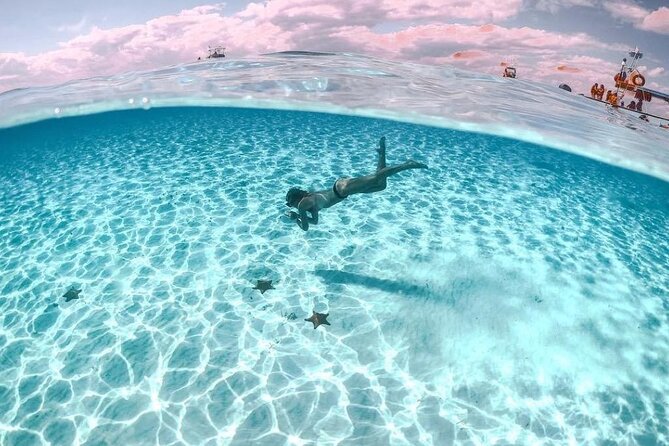 Cayman Adventure: Starfish Point, Stingray City and Coral Gardens - Starfish Point, a gentler final stop