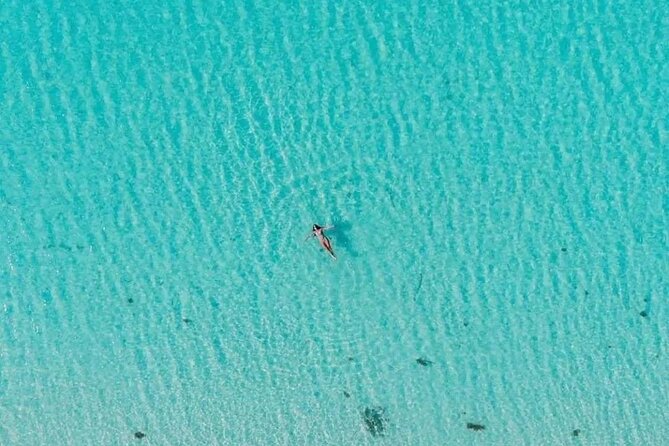 Cayman Adventure: Starfish Point, Stingray City and Coral Gardens - What the $107.10 price really covers