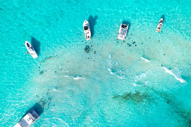 Cayman Adventure: Starfish Point, Stingray City and Coral Gardens - Safety, comfort, and who will enjoy it most