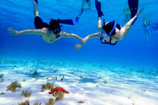 Cayman Adventure: Starfish Point, Stingray City and Coral Gardens - Simple packing advice for a sunny boat day