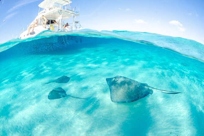 Cayman Adventure: Starfish Point, Stingray City and Coral Gardens - Meeting the boat from a cruise ship