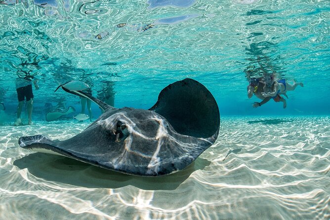 Cayman Combo Tour: Stingrays, Starfish Point and Crystal Caves - Going underground at Cayman Crystal Caves
