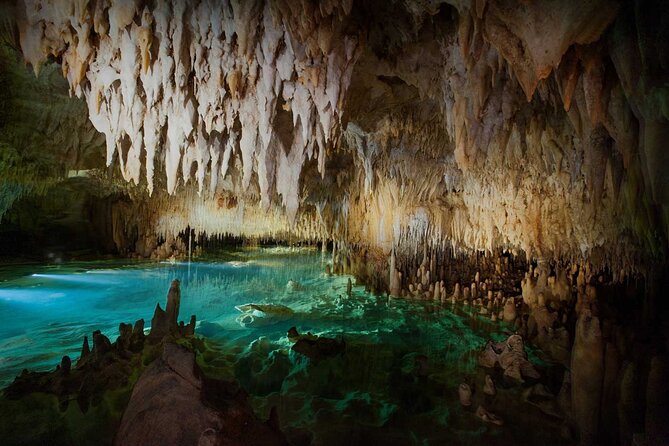 Cayman Combo Tour: Stingrays, Starfish Point and Crystal Caves - Transport, timing, and the shape of the day