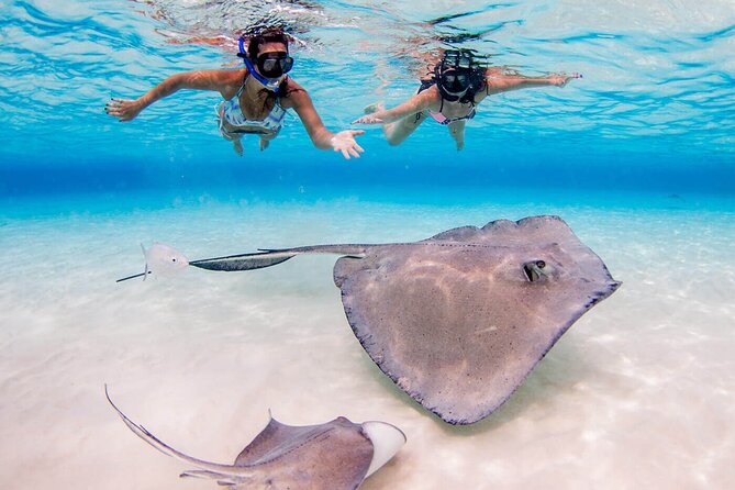 Cayman Combo Tour: Stingrays, Starfish Point and Crystal Caves - Who will enjoy this tour most
