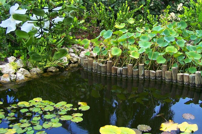 Cayman Crystal Caves & Pedro St James Castle or Botanical Garden - Private transport and cruise-port timing