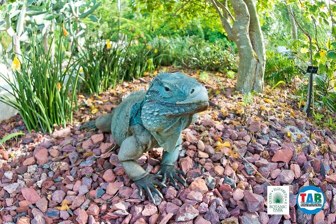 Cayman Crystal Caves & Pedro St James Castle or Botanical Garden - What to bring and what to confirm