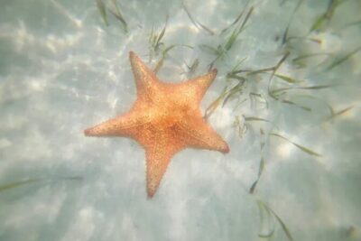 Cayman Island Eastern Districts Highlights