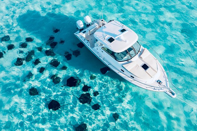 Cayman Private Luxury Charters - Stingray City, Snorkel, & More - Key points to know before you book