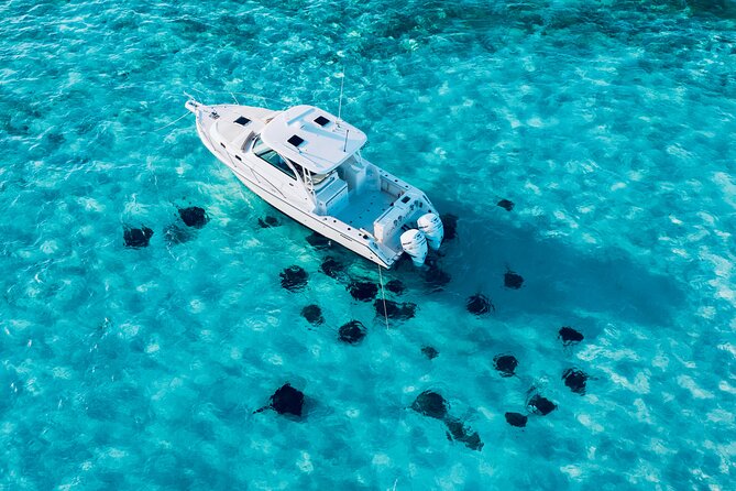 Cayman Private Luxury Charters - Stingray City, Snorkel, & More - Why Stingray City makes this charter special