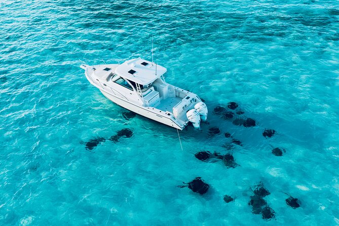 Cayman Private Luxury Charters - Stingray City, Snorkel, & More - Safety, comfort, and what to bring