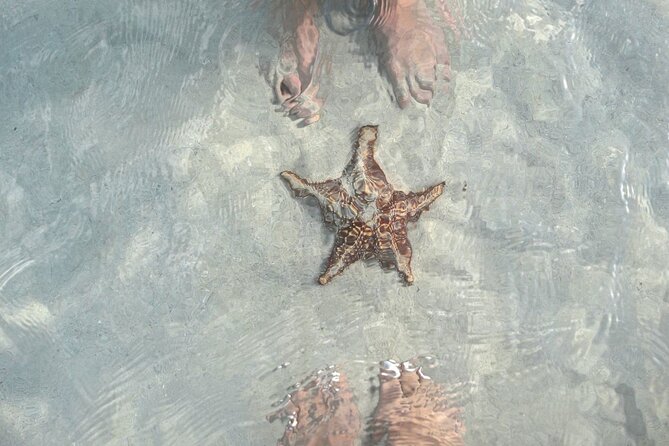 Cayman Ultimate Tour: Stingrays, Starfish Point and Crystal Caves - A strong morning plan for Grand Cayman
