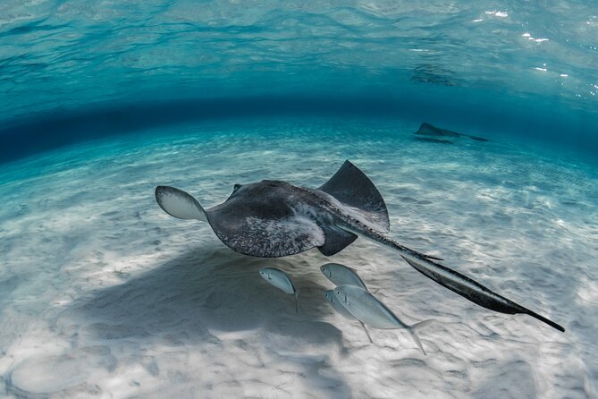 Cayman Ultimate Tour: Stingrays, Starfish Point and Crystal Caves - Going underground at Cayman Crystal Caves