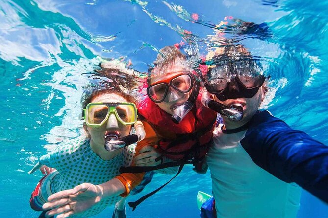 Cayman Ultimate Tour: Stingrays, Starfish Point and Crystal Caves - What the $85.50 price really includes