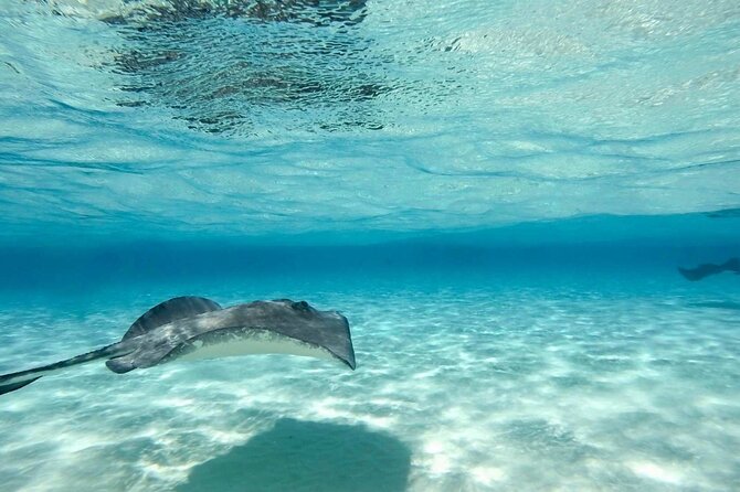 Cayman Ultimate Tour: Stingrays, Starfish Point and Crystal Caves - Should you book the Cayman Ultimate Tour?