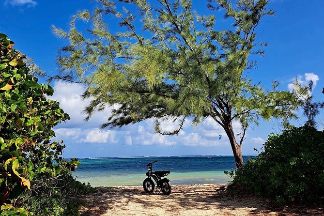 Coastal E-Bike Adventure: Full-Day Self-Guided Tour Grand Cayman - Camana Bay changes the mood