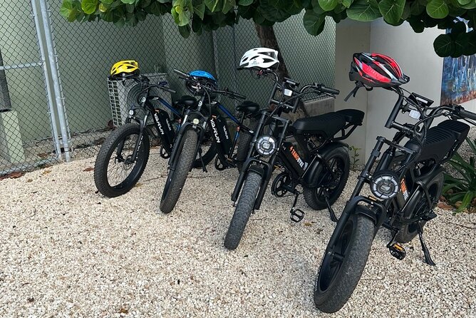 Coastal E-Bike Adventure: Full-Day Self-Guided Tour Grand Cayman - Tortuga Rum Cake Factory makes a fitting finish