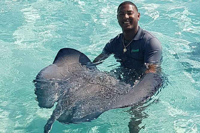 Full-Day Private Stingray City Snorkeling and Starfish Beach Tour - Leaving from the Cayman Islands Yacht Club