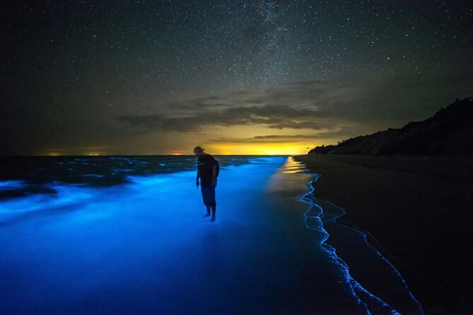 Grand Cayman Bioluminescence Adventure - Key points to know before you book