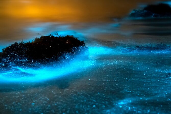 Grand Cayman Bioluminescence Adventure - What is included for $143.10