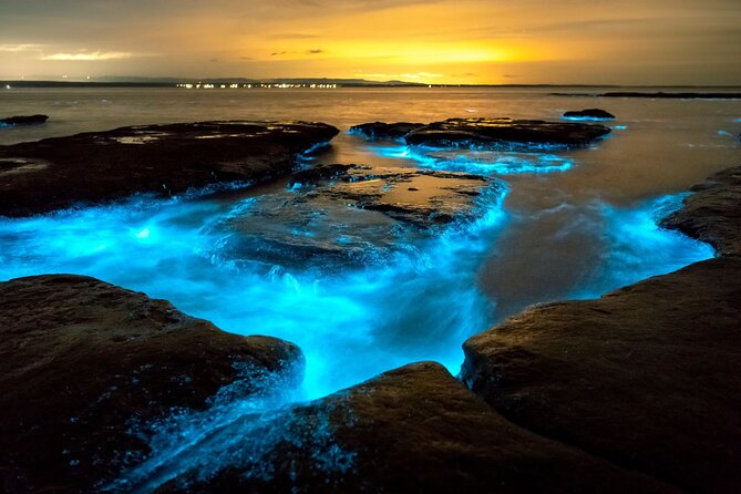 Grand Cayman Bioluminescence Adventure - Who will enjoy this tour most