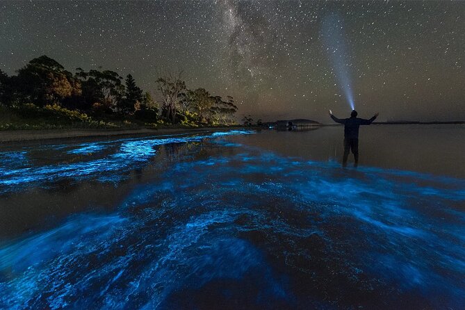 Grand Cayman Bioluminescence Adventure - Important booking checks before you commit
