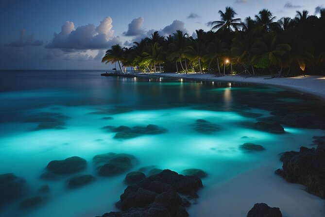 Grand Cayman Bioluminescence Adventure - From the East End to Cayman Kai after dark