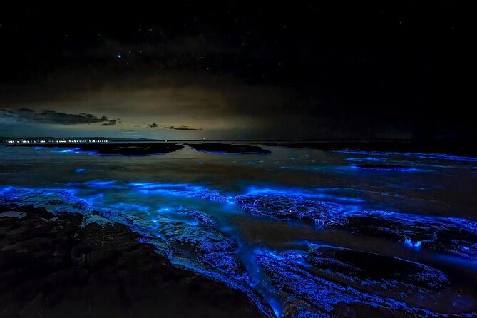Grand Cayman Bioluminescence Experience - Why Grand Cayman’s glowing water is worth seeing