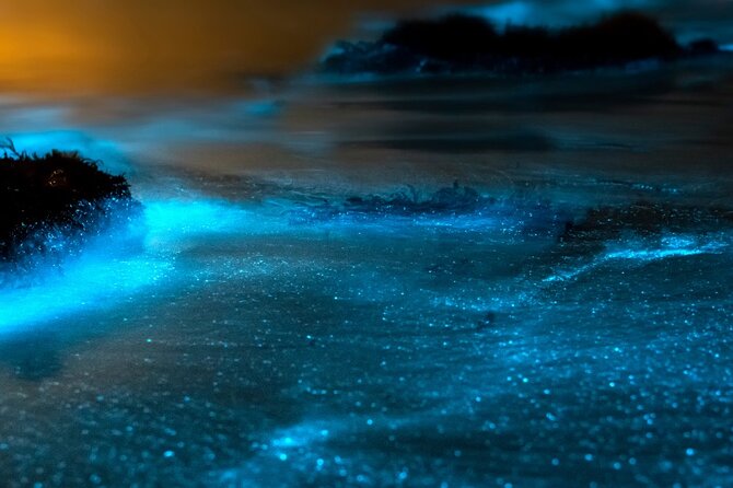 Grand Cayman Bioluminescence Experience - What the bioluminescent bay may look like