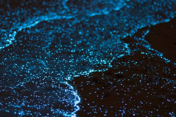 Grand Cayman Bioluminescence Experience - Who will enjoy this outing most