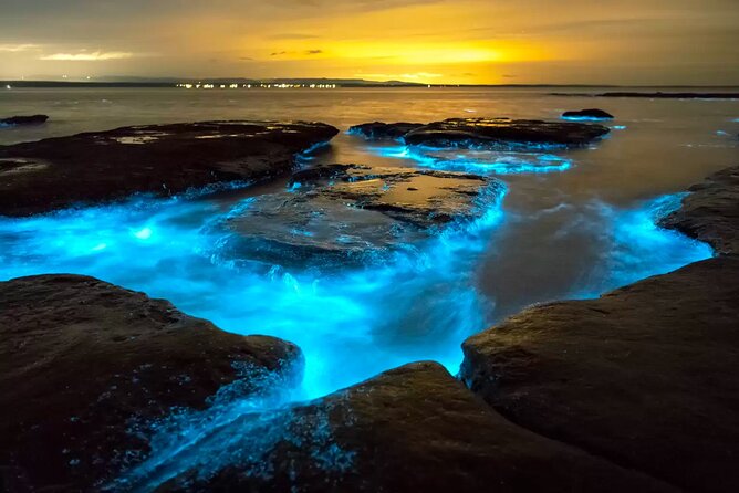 Grand Cayman Bioluminescent Bay Adventure - Five things to know before you go