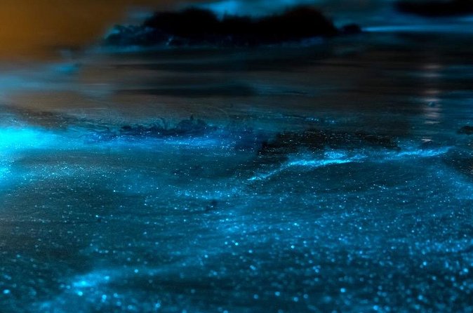 Grand Cayman Bioluminescent Bay Adventure - How to get the best view of the plankton