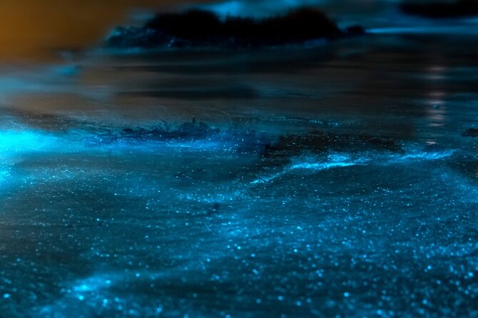 Grand Cayman Bioluminescent Bay Adventure - Who will enjoy this tour most