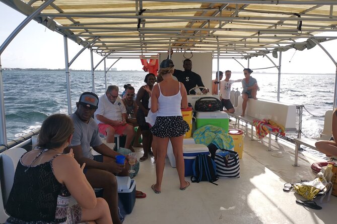 Grand Cayman Bioluminescent Bay Tour - Key points at a glance